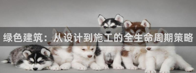 e尊平台：绿色建筑：从设计到施工的全生命周期策略