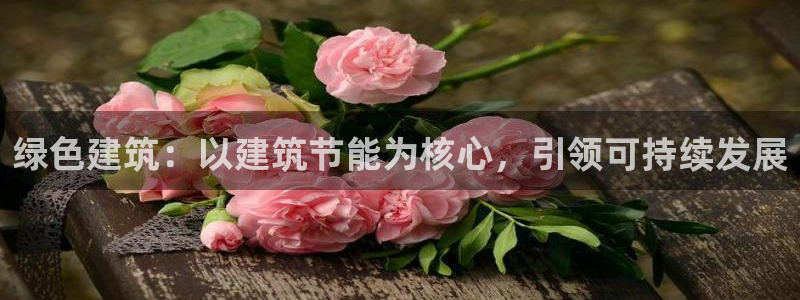 谁知道e尊国际的网址：绿色建筑：以建筑节能为核心，引领可持续发展