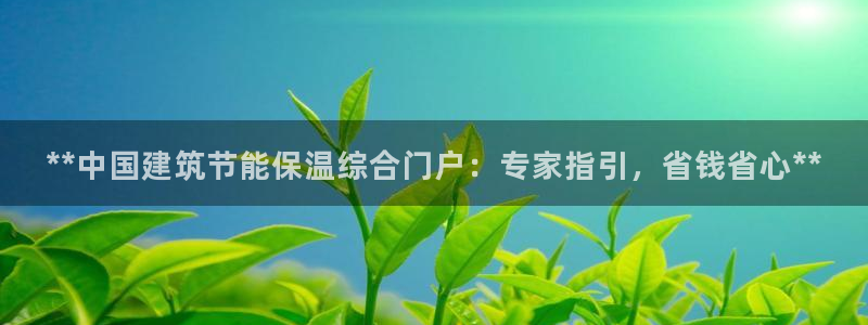e尊国际官网：**中国建筑节能保温综合门户：专家指引，省钱省心**