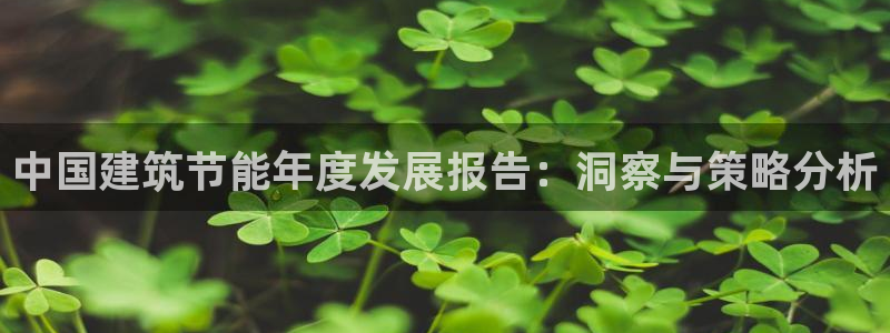 e尊国际-e尊国际官网：中国建筑节能年度发展报告：洞察与策略分析