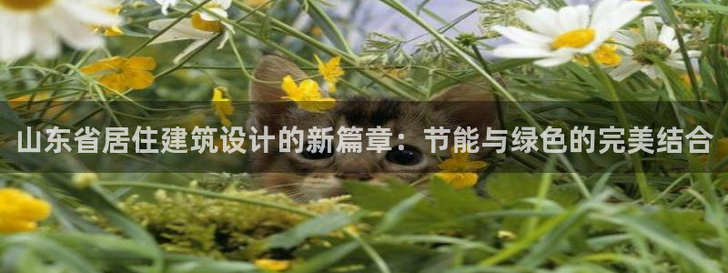 谁知道e尊国际的网址：山东省居住建筑设计的新篇章：节能与绿色的完美结合
