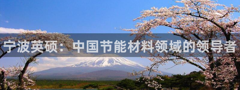 尊亿娱乐国际官网：宁波英硕：中国节能材料领域的领导者