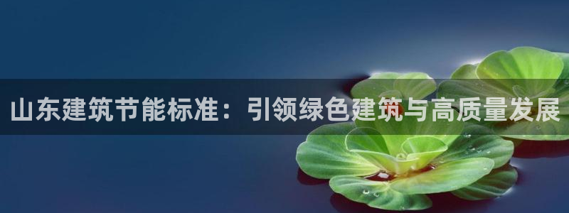 e尊国际客户端下载：山东建筑节能标准：引领绿色建筑与高质量发展