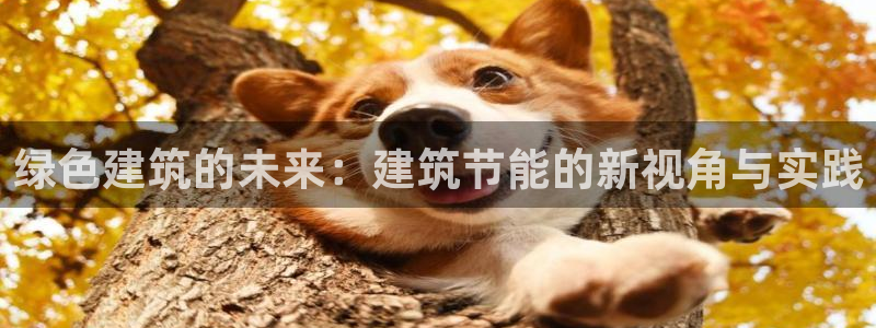 e尊国际地址：绿色建筑的未来：建筑节能的新视角与实践