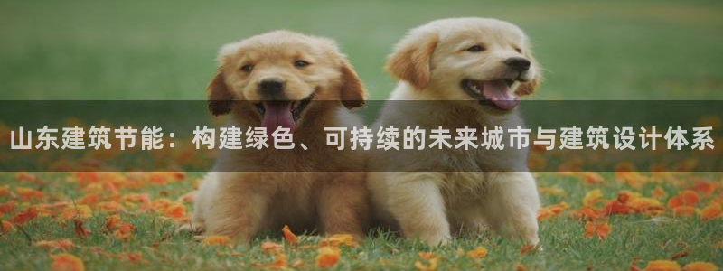 e尊国际客服：山东建筑节能：构建绿色、可持续的未来城市与建筑设计体系