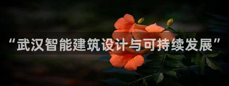e尊国际官网·网址：“武汉智能建筑设计与可持续发展”