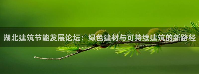 e尊国际客户端下载：湖北建筑节能发展论坛：绿色建材与可持续建筑的新路径