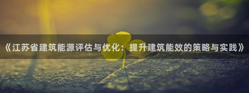E尊国际网站：《江苏省建筑能源评估与优化：提升建筑能效的策略与实践》