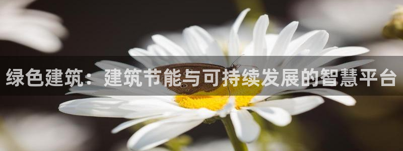 e尊国际官网：绿色建筑：建筑节能与可持续发展的智慧平台