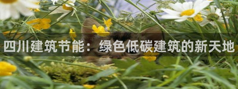 e尊国际地址：四川建筑节能：绿色低碳建筑的新天地