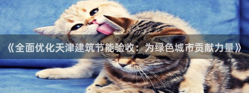 e尊国际是干什么的：《全面优化天津建筑节能验收：为绿色城市贡献力量》