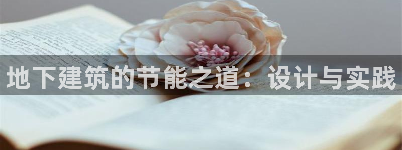 e尊国际娱乐官网下载：地下建筑的节能之道：设计与实践