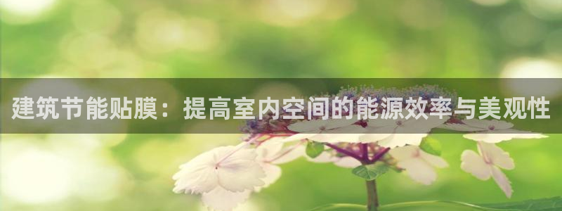 e尊国际可靠吗：建筑节能贴膜：提高室内空间的能源效率与美观性