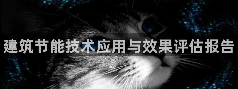 e尊官网：建筑节能技术应用与效果评估报告