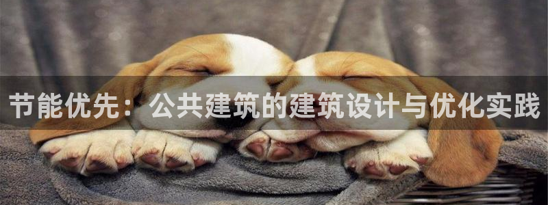 e尊国际娱乐官网地址：节能优先：公共建筑的建筑设计与优化实践