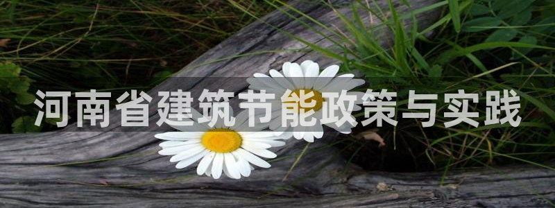 e尊国际平台：河南省建筑节能政策与实践