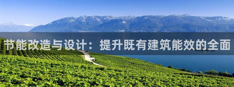 e尊国际官网app：节能改造与设计：提升既有建筑能效的全面