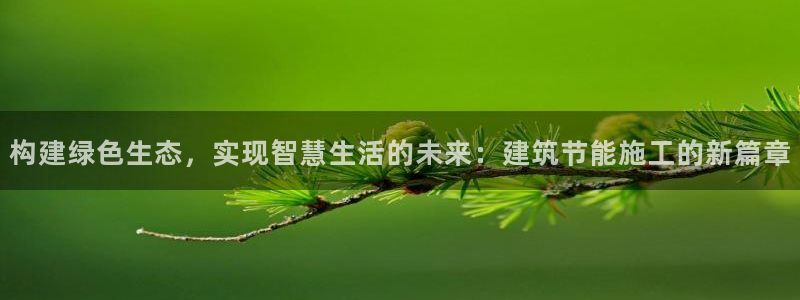e尊国际网址：构建绿色生态，实现智慧生活的未来：建筑节能施工的新篇章