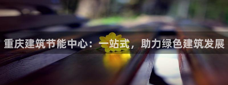 e尊体育：重庆建筑节能中心：一站式，助力绿色建筑发展