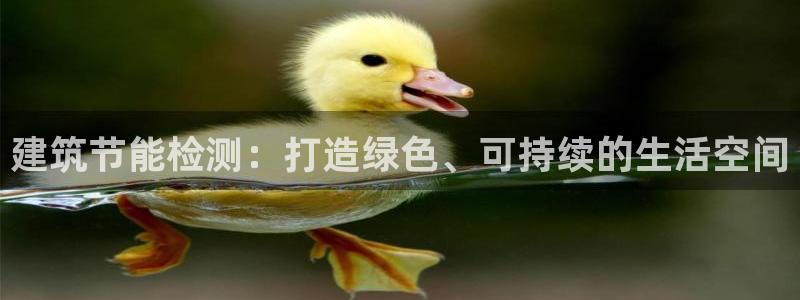 e尊平台：建筑节能检测：打造绿色、可持续的生活空间