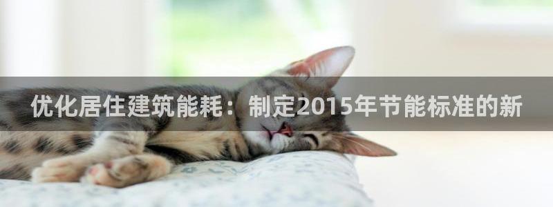 e尊国际-可可计划：优化居住建筑能耗：制定2015年节能标准的新