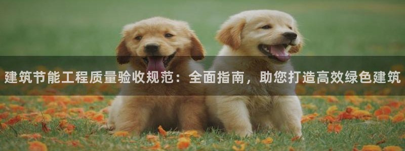 e尊国际官网：建筑节能工程质量验收规范：全面指南，助您打造高效绿色建筑
