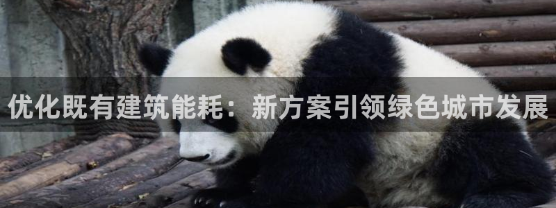 E尊国际网站：优化既有建筑能耗：新方案引领绿色城市发展