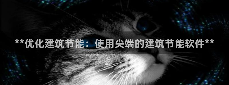 e尊国际官网app：**优化建筑节能：使用尖端的建筑节能软件**