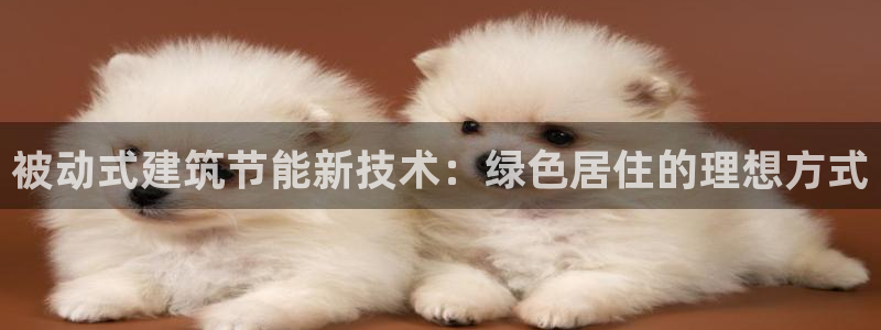 e尊平台：被动式建筑节能新技术：绿色居住的理想方式