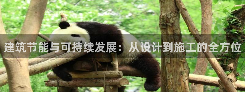 e尊国际是干什么的：建筑节能与可持续发展：从设计到施工的全方位