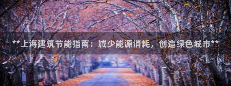 e尊国际是干什么的：**上海建筑节能指南：减少能源消耗，创造绿色城市**