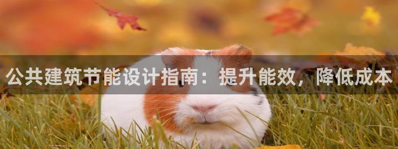 e尊国际是个黑网：公共建筑节能设计指南：提升能效，降低成本