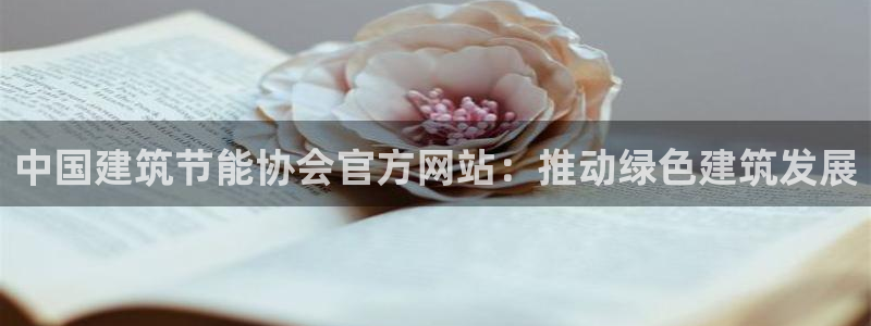 e尊官网：中国建筑节能协会官方网站：推动绿色建筑发展