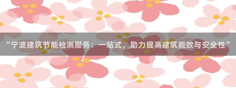 E尊国际网站：“宁波建筑节能检测服务：一站式，助力提高建筑能效与安全性”