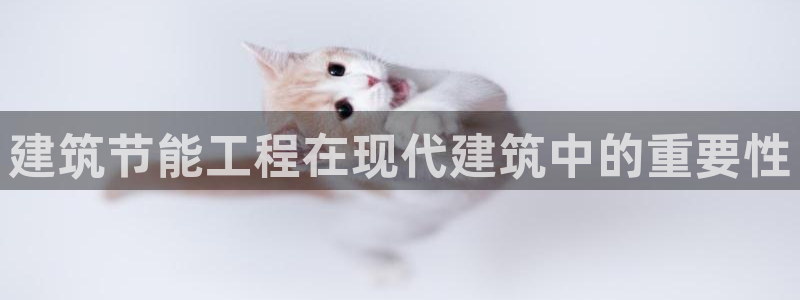 e尊国际官网app：建筑节能工程在现代建筑中的重要性