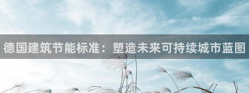 e尊国际是个黑网：德国建筑节能标准：塑造未来可持续城市蓝图