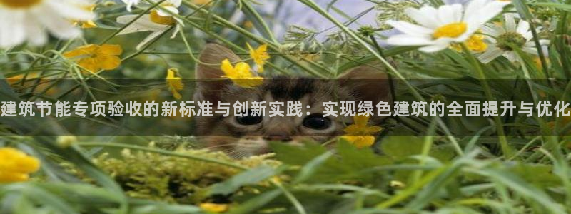e尊国际的手机登录网站：建筑节能专项验收的新标准与创新实践：实现绿色建筑的全面提升与优化