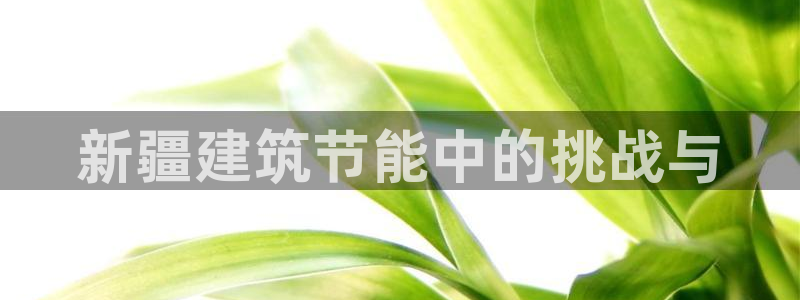 谁知道e尊国际的网址：新疆建筑节能中的挑战与