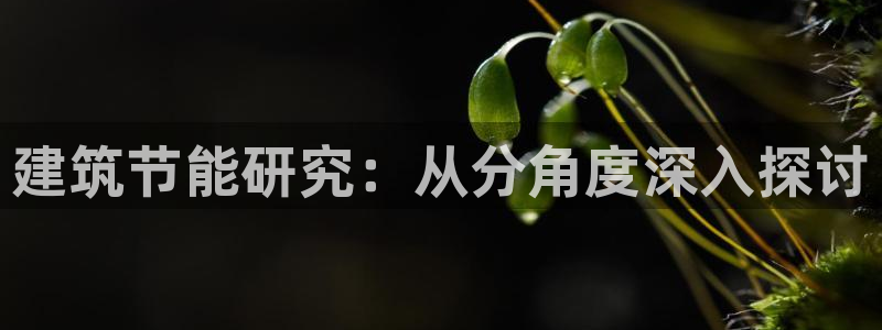 e尊国际平台：建筑节能研究：从分角度深入探讨