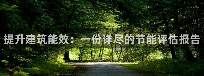 e尊国际客户端：提升建筑能效：一份详尽的节能评估报告