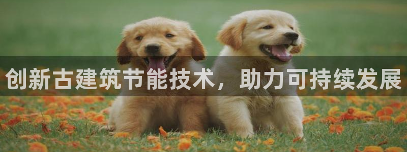 e尊国际-e尊国际官网