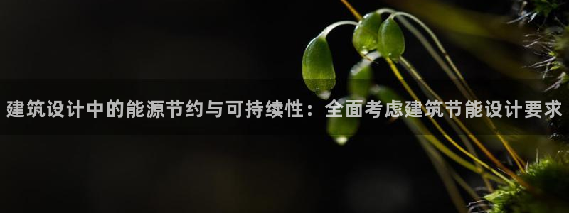 e尊国际客户端下载