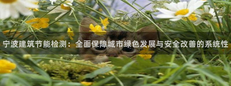 e尊国际是干什么的：宁波建筑节能检测：全面保障城市绿色发展与安全改善的系统性
