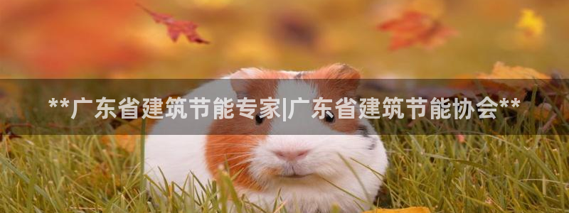 e尊国际平台：**广东省建筑节能专家|广东省建筑节能协会**