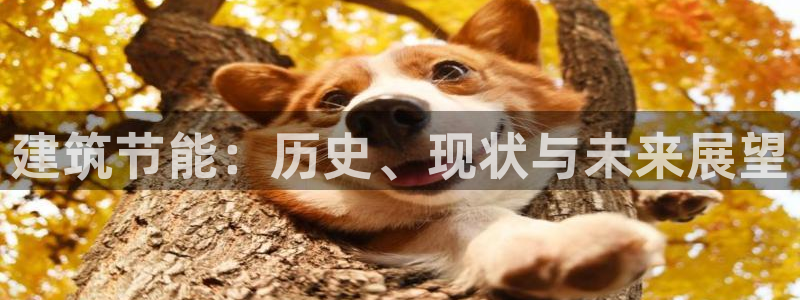 e尊国际客户端：建筑节能：历史、现状与未来展望