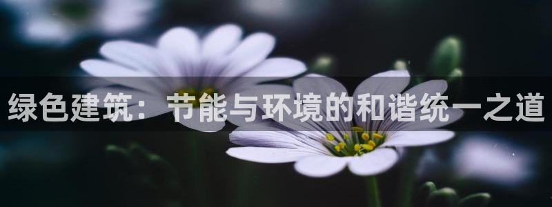 e尊国际是干什么的